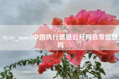 温岭中国执行信息公开网会发信息吗