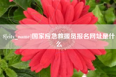 温岭国家应急救援员报名网址是什么