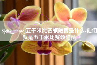 温岭五千米比赛领跑员是什么-他们就是五千米比赛领跑员