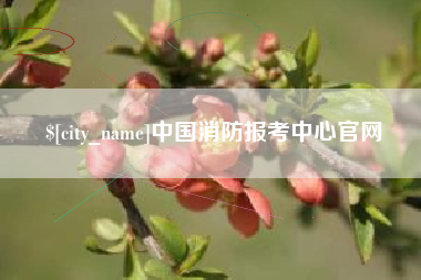 温岭中国消防报考中心官网