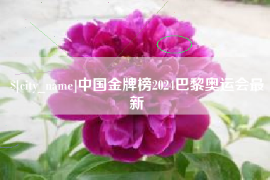 温岭中国金牌榜2024巴黎奥运会最新