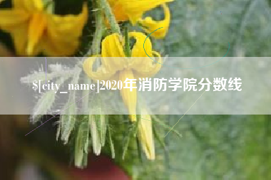 温岭2020年消防学院分数线