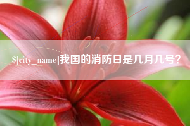温岭我国的消防日是几月几号？