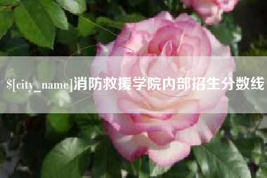 温岭消防救援学院内部招生分数线