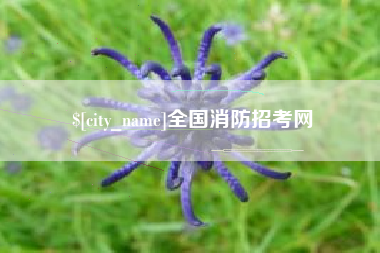 温岭全国消防招考网