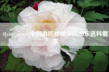 温岭中国消防救援学院山东选科要求