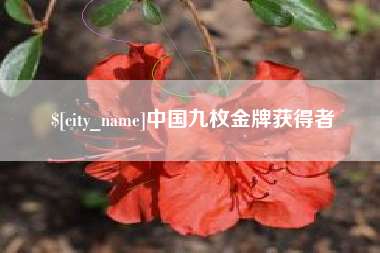 温岭中国九枚金牌获得者