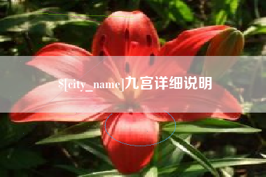 温岭九宫详细说明
