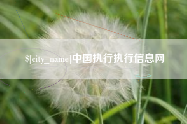温岭中国执行执行信息网