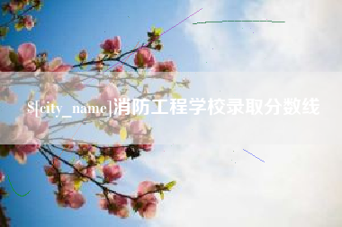 温岭消防工程学校录取分数线