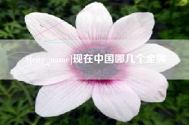 温岭现在中国哪几个金牌