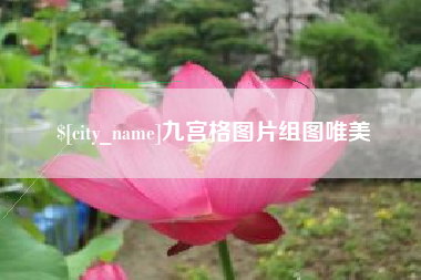 温岭九宫格图片组图唯美