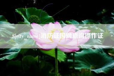 温岭消防证国网查询操作证