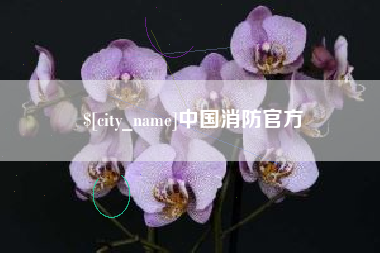 温岭中国消防官方