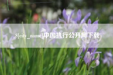 温岭中国执行公开网下载