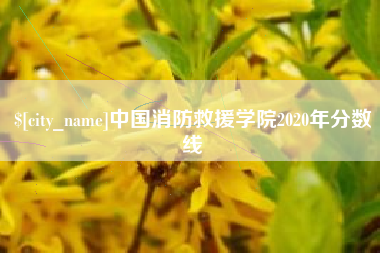 温岭中国消防救援学院2020年分数线