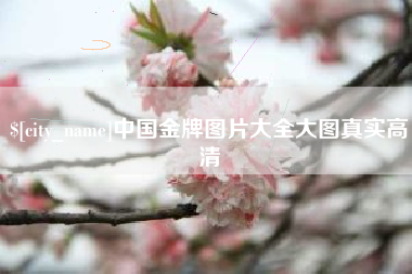 温岭中国金牌图片大全大图真实高清