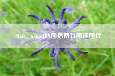 温岭地图指南针图标图片