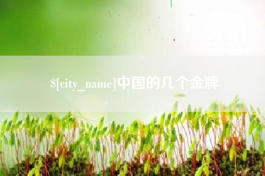 温岭中国的几个金牌