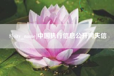 温岭中国执行信息公开网失信
