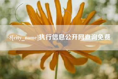 温岭执行信息公开网查询免费
