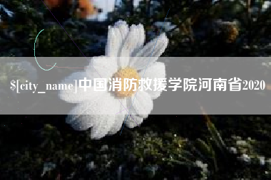温岭中国消防救援学院河南省2020